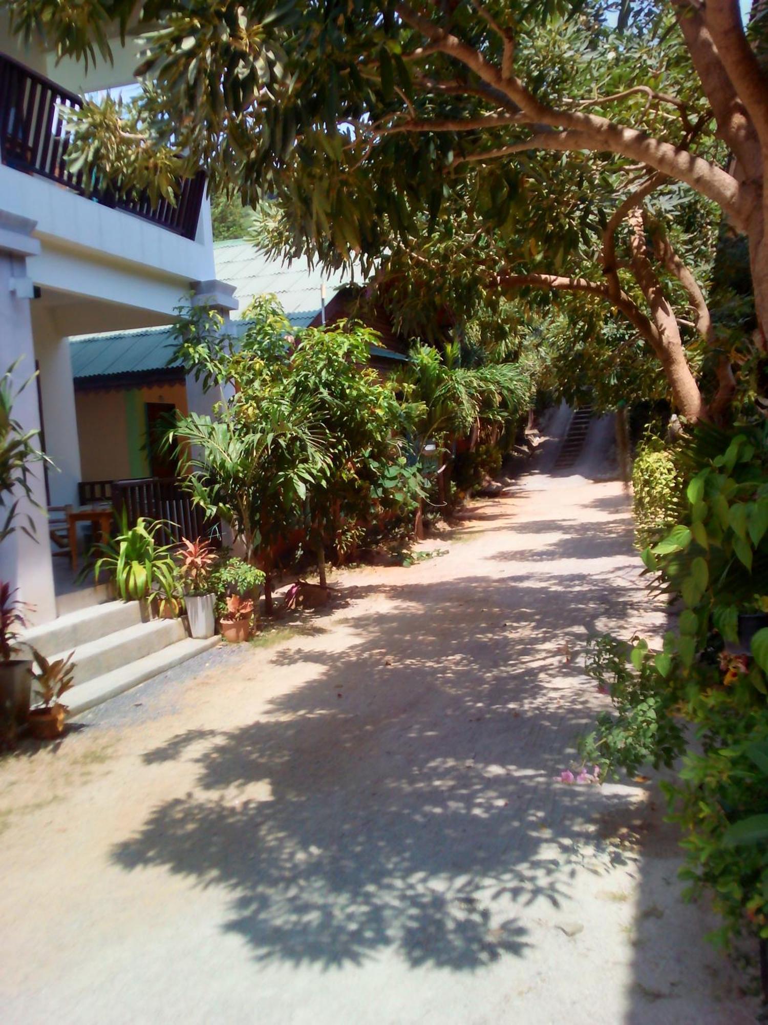 Modern Resort Haad Rin Phòng bức ảnh